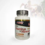 Multivitaminico x 60 Capsulas